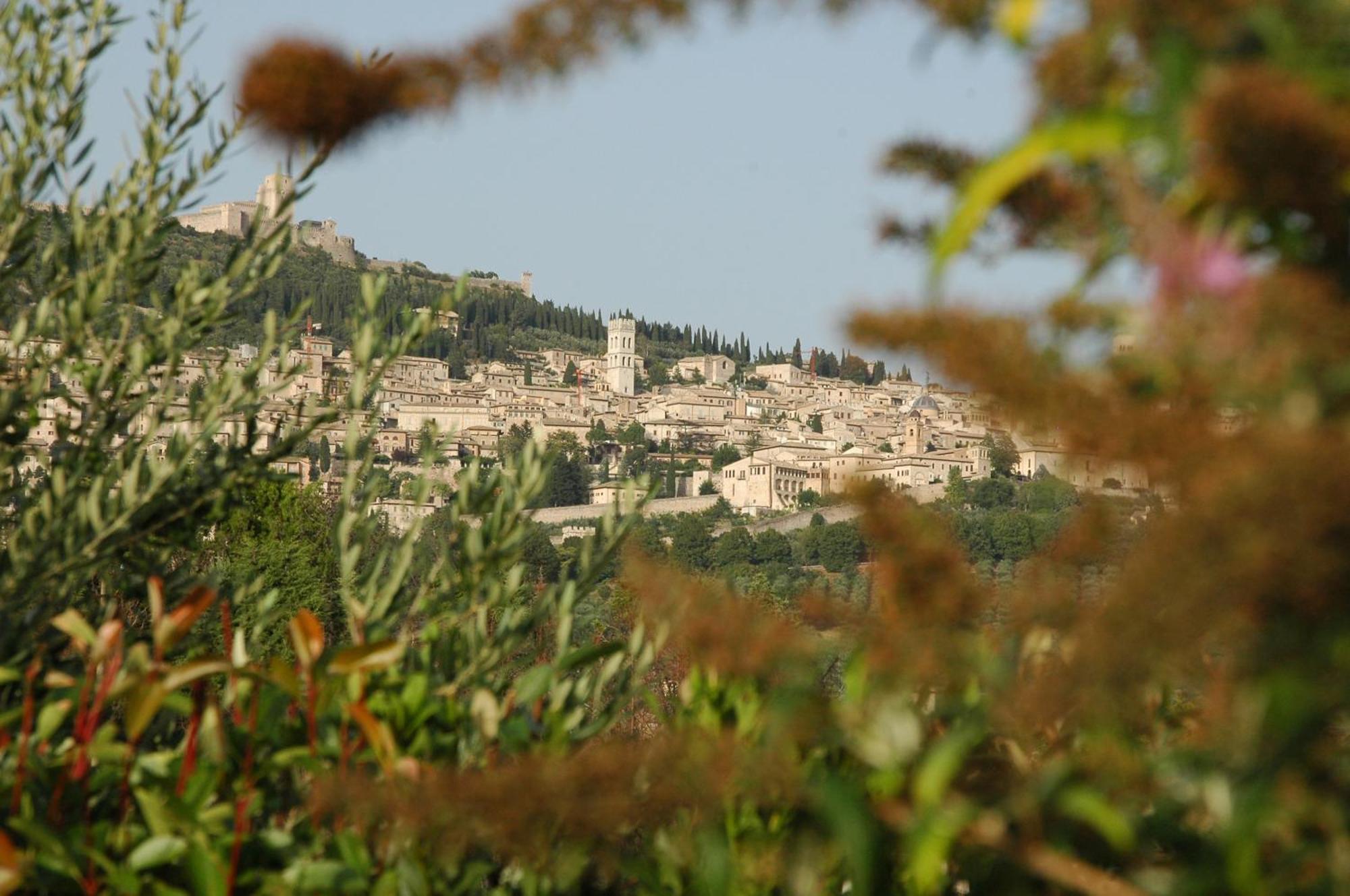 Il Podere Del Falco Assise Extérieur photo